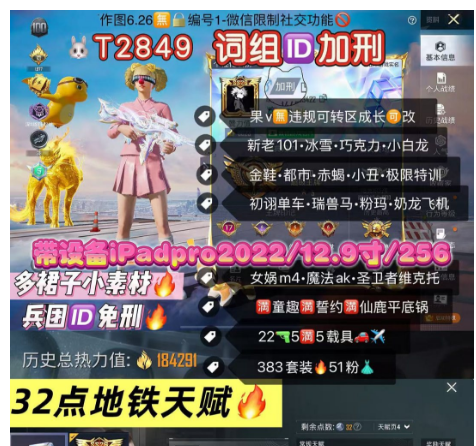 和平精英账号苹果微信带设备一起：ipadpro2022/12.9寸256G 词组ID加刑 多小裙子小素材  【T2842】‼ 苹果v 32点地铁天赋•附带611红装  新老101 冰雪 巧克力 小丑 金鞋 都市