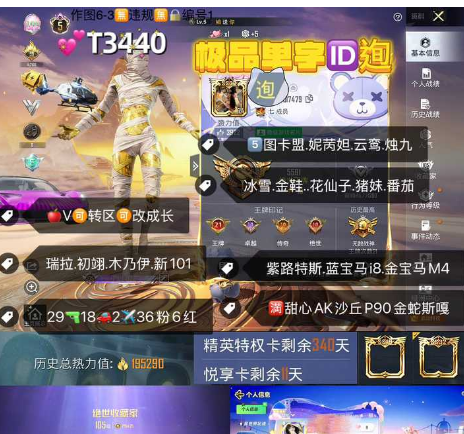 和平精英账号苹果微信【T3440】  ‼  极品单字ID苹果v无违规可转区可改成长 图卡盟 妮芮妲 木乃伊 小丑女 新101 29枪18车1✈36粉装 6红装