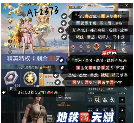 和平精英账号安卓微信【AF2373】 ‼ 安v-可改成长 地铁满天赋 满绝世‼ 101裙子号  5级露米娜 图卡盟 瑞拉 新老101 都市金鞋 极限 巧克力 放客 猪妹 番茄 胖达 稻草人 玛卡龙 彩虹奶油 星