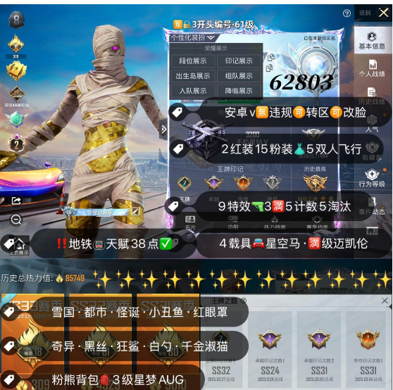 和平精英账号安卓微信 编号62803 安V可改，2级图卡盟，欧若拉，雪国，白勺，小丑，都市，黑丝，洛天依，战队服，满级迈凯伦，星梦玉骢，星梦奇缘，墨龙九天，幽焰骑士，沙丘之主，境域双华，9特3满5计数5淘汰，1