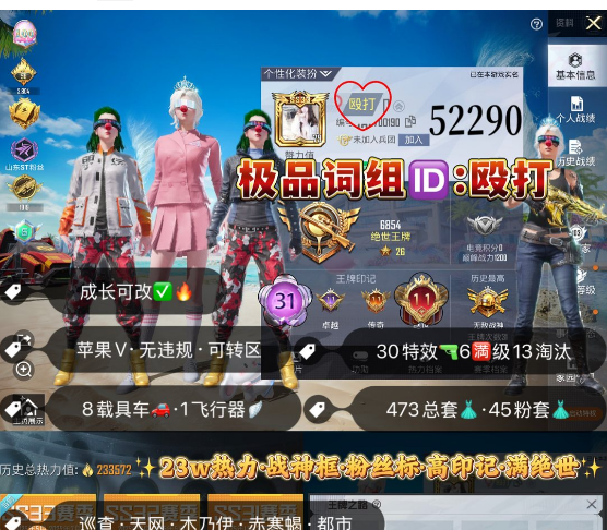 和平精英账号苹果微信 编号52290 果V可改，ID殴打，地铁满天赋，战神框，满绝世，新老101，巡查，天网，木乃伊，金鞋子，都市，赤寒蝎，星星裤，小丑，雪国，巧克力，猪妹，灵感，洛天依，白勺，放客，星际，飞龙