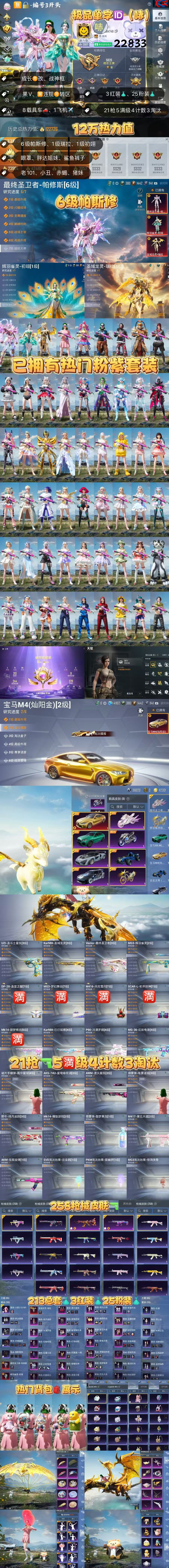 HPKG3275282和平精英账号详情图2 HPKG3275282和平精英账号详情图2