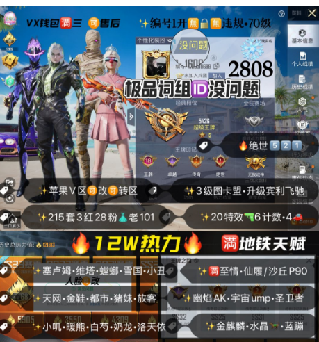 和平精英账号苹果微信编号2808  苹果V区 可改 12W热力  极品词组ID没问题 老101 3级图卡盟 塞卢姆 维塔 螳螂 雪国 小丑 天网 金鞋 都市 巧克力 猪妹 放客 暖熊 洛天依 小叽 白芍 奶龙 
