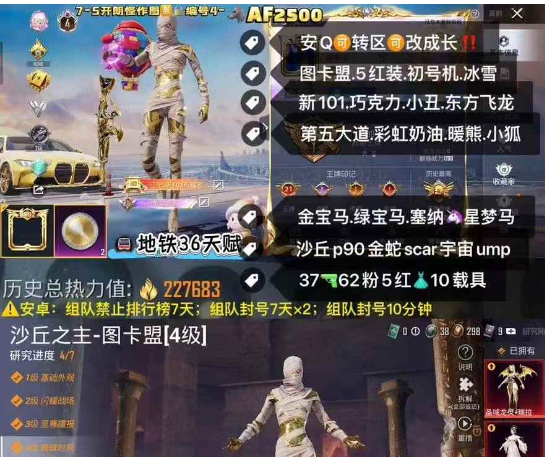 和平精英账号安卓QQ【AF2500】 ‼ 安Q可改1战神框 36天赋 图卡盟 欧若拉 塞卢姆 新101 瑞拉 云鸾 初号机 冰雪 巧克力 小丑 飞龙 赤蝎 第五大道 小狐 彩虹奶油裙 暖熊 小丑女 红熊 389