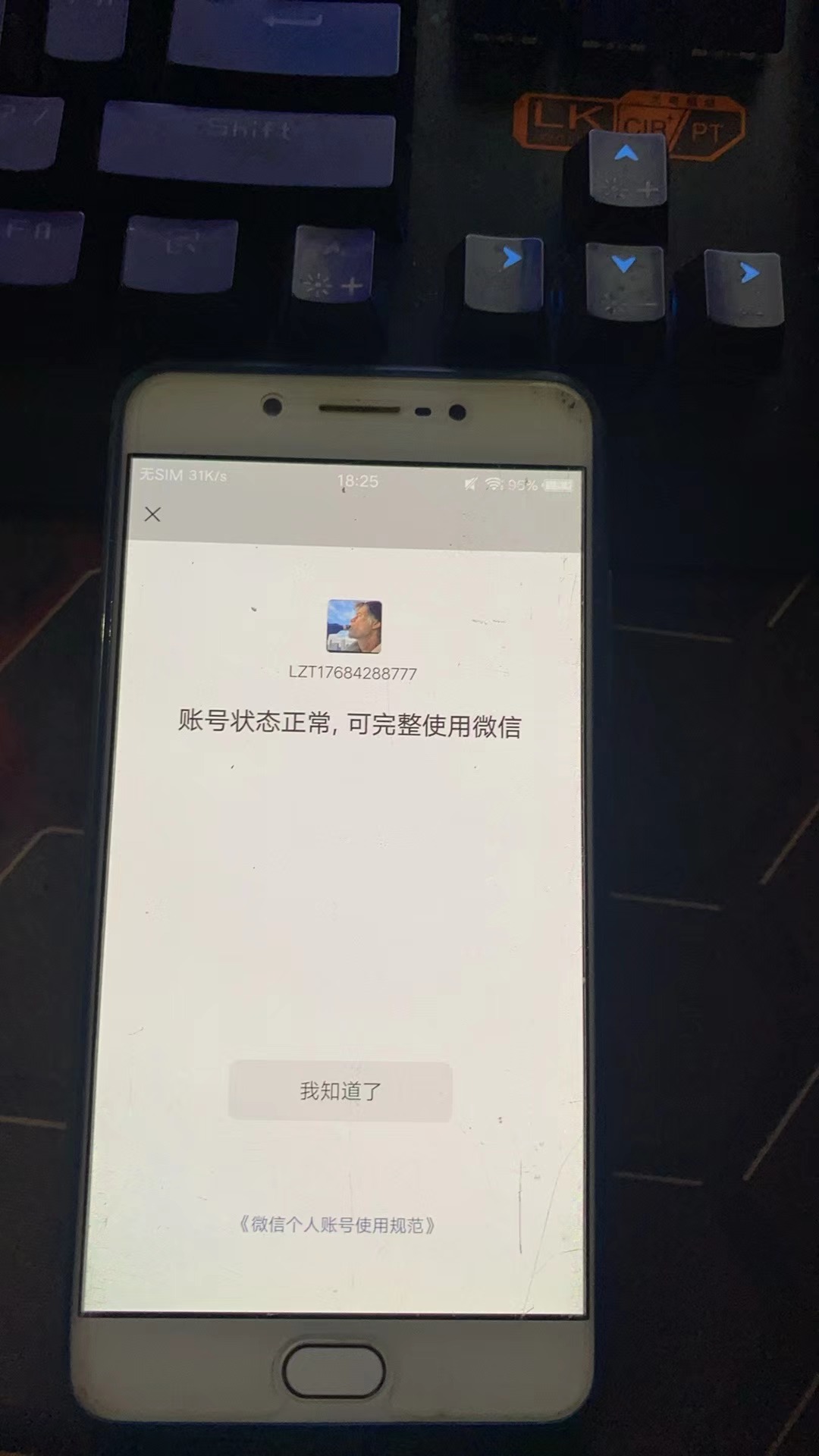 WZHJJ3218010王者荣耀账号详情图20
